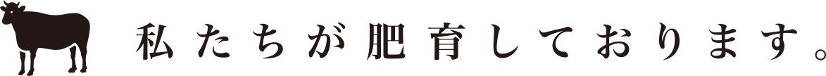 私たちが肥育しております。